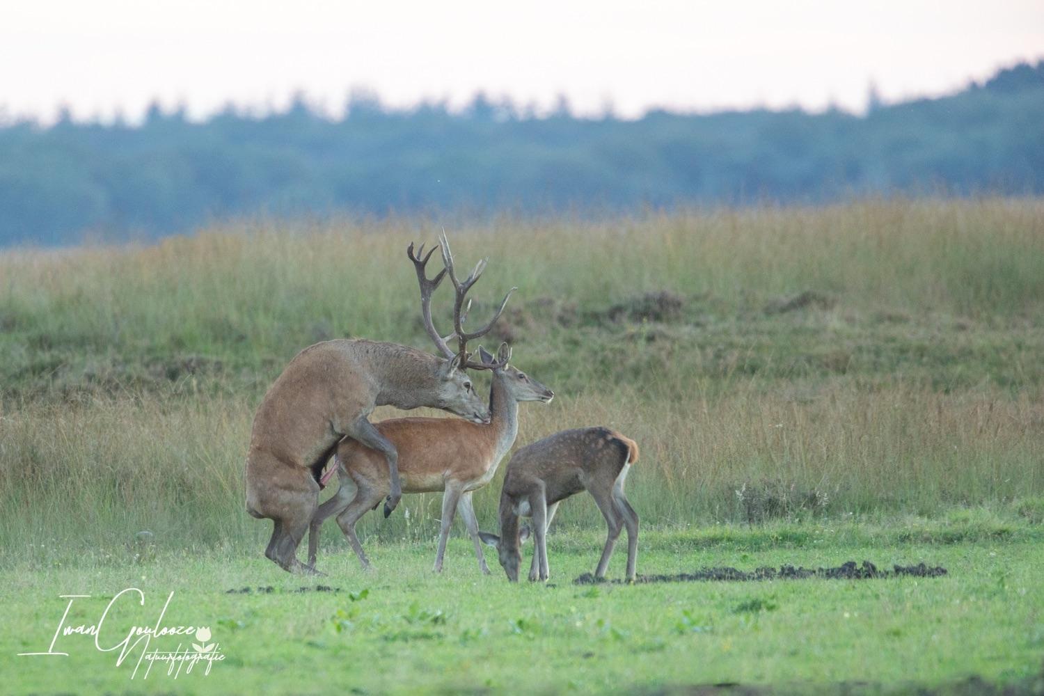 24 september 2023 193341  R2A7160 2